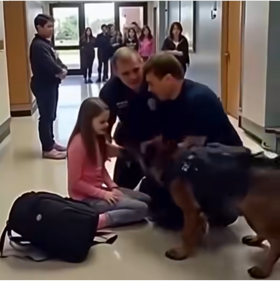 K9 Dog Refuses to Obey — What He Uncovers About the Student Shocks Everyone